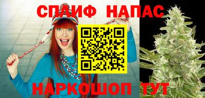 PSILOCYBIN Бузулук