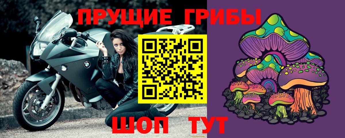Галлюциногенные грибы Psilocybine cubensis Стерлитамак