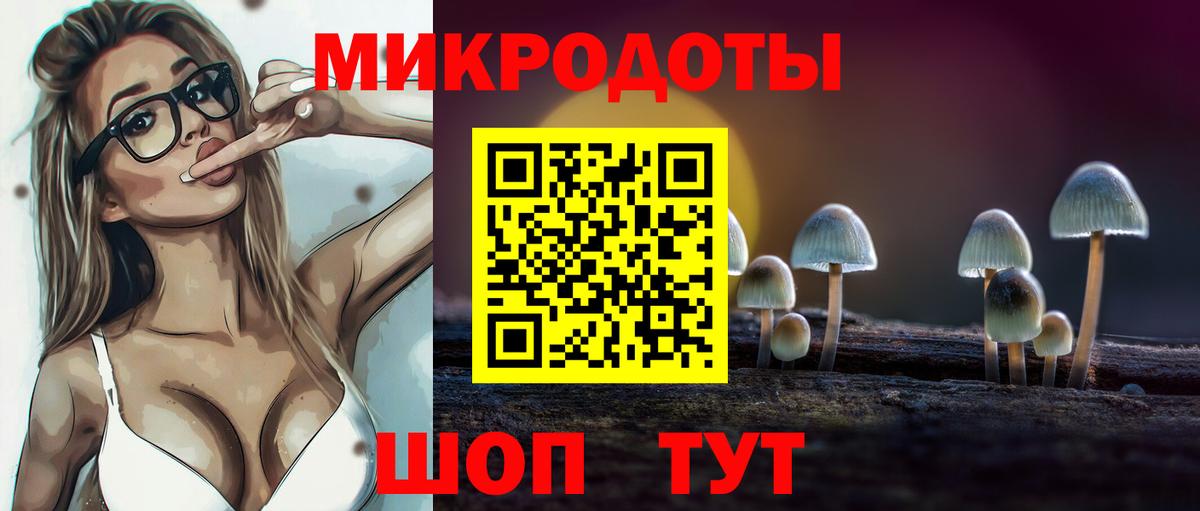 Стерлитамак  Псилоцибиновые грибы мухоморы  Вход с VPN 